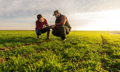 Farmers in field