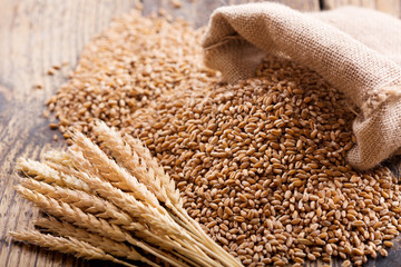 Organic Wheat